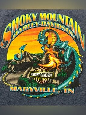 Vintage Harley Davidson Smoky Mountain Maryville TN Dragon T Shirt Mens L USA